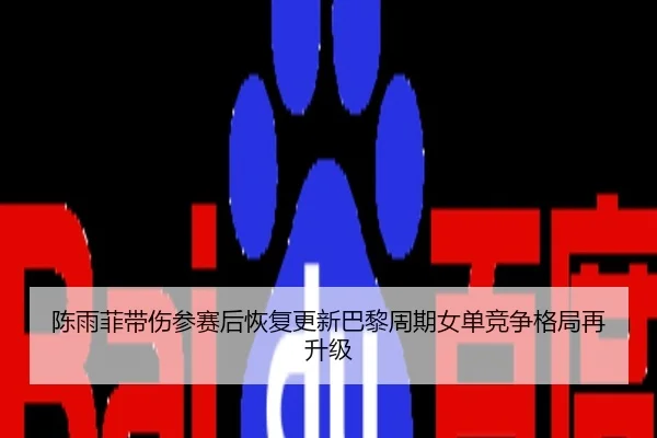 陈雨菲带伤参赛后恢复更新巴黎周期女单竞争格局再升级